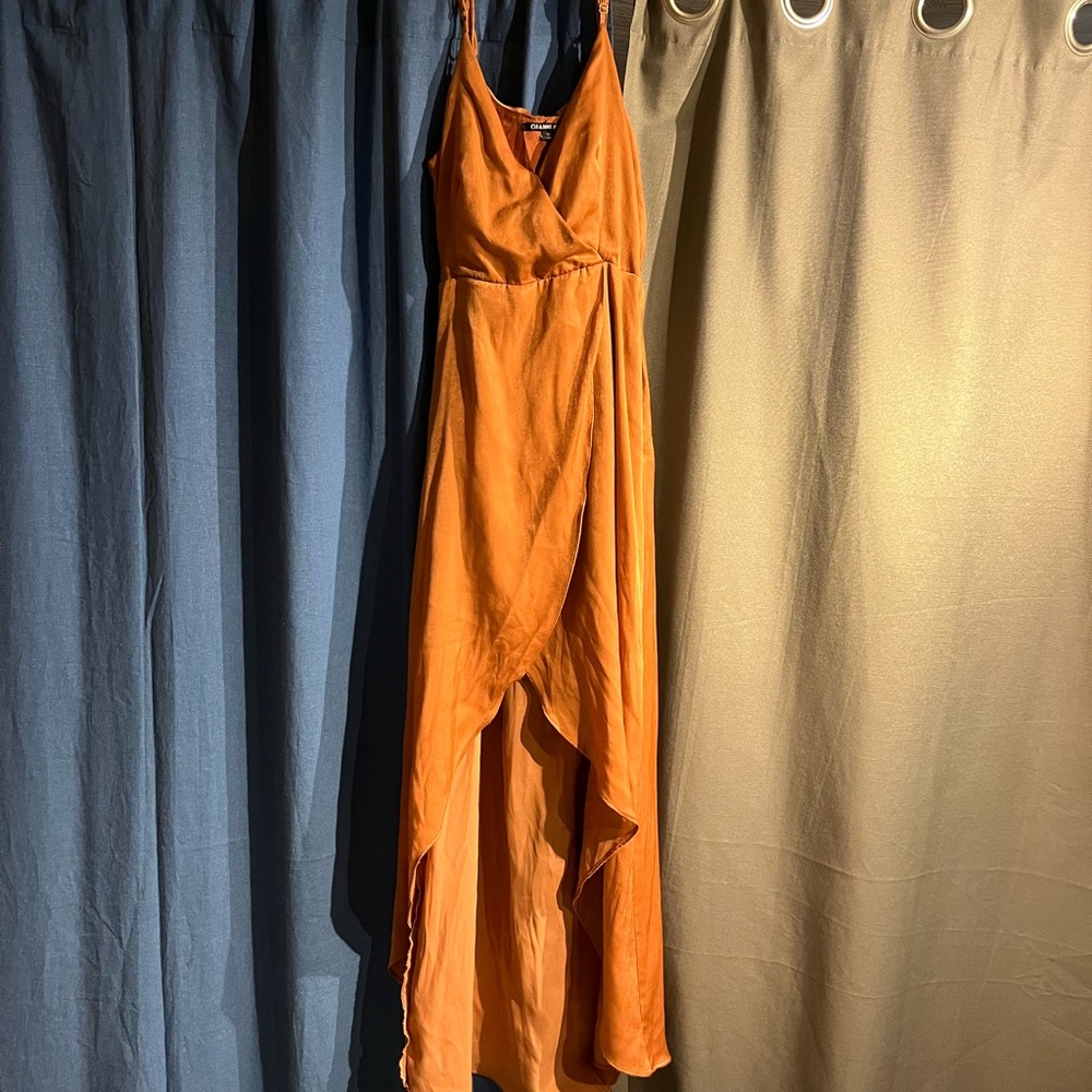 Gianni Bini long dress